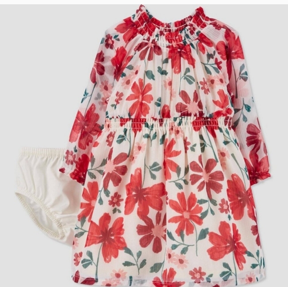 NEW! Baby Girls 2pc Set Long Sleeve Floral Chiffon Dress, Red, ⁃ Carter' - Picture 10 of 11